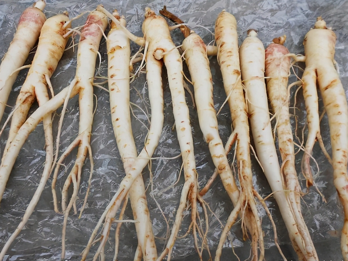 农产品配送中心:桔梗分为食用和药用,桔梗根做成的泡菜吗?