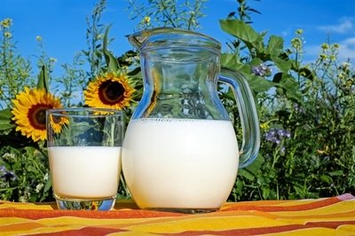 东莞新鲜食材配送:脱脂牛奶真的能帮助减肥吗?