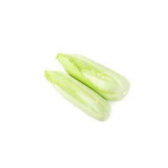 绍菜 