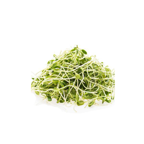 绿豆芽