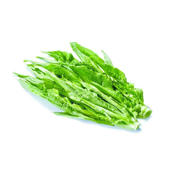 油麦菜 