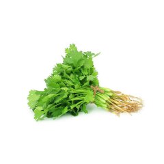 香菜 