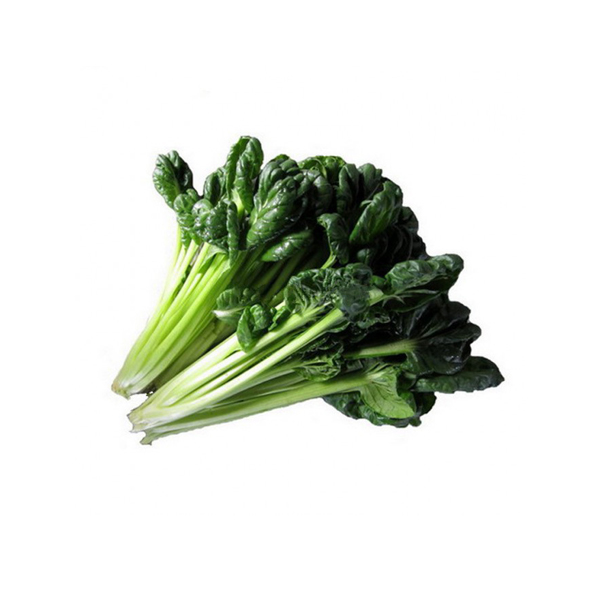 乌塌菜 