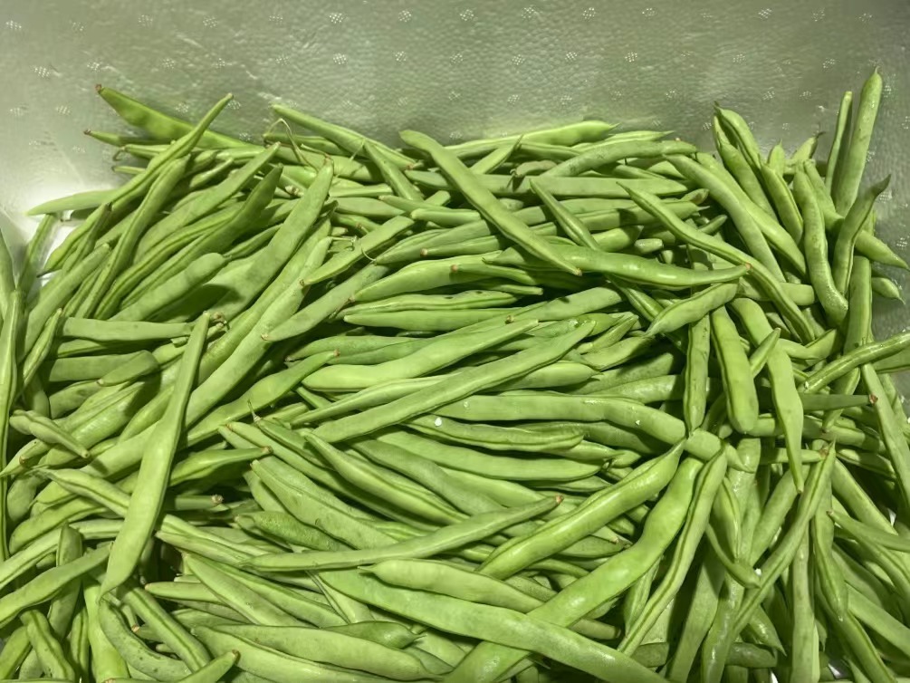 东莞食堂蔬菜配送中心提供便捷的蔬菜服务吗，为东莞市民提供便捷的蔬菜服务